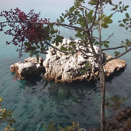Apartment White Vantacici Dış mekan fotoğraf